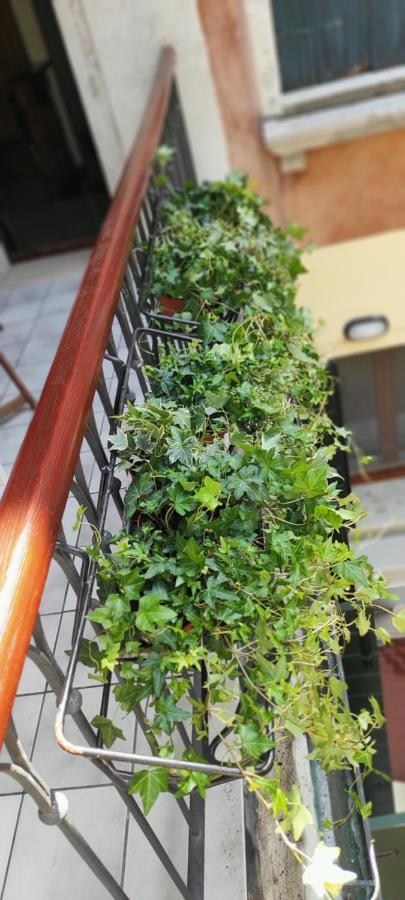 Ca' Baby Apartamento